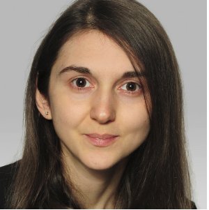 Roxanna, Project Management and Budget Development